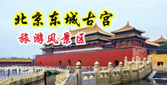 欧美屄毛茸茸中国北京-东城古宫旅游风景区